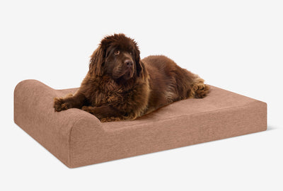 PawVault | Orthopedic Dog Bed with 7-Inch Foam for Large Dogs — Supports Joint Health 40