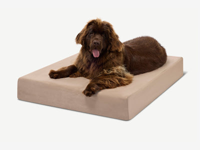 PawVault | Orthopedic Dog Bed with 7-Inch Foam for Large Dogs — Supports Joint Health 41