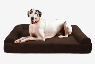 PawVault | Orthopedic Dog Bed with 7-Inch Foam for Large Dogs — Supports Joint Health 42