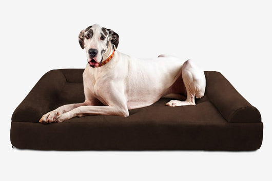 PawVault | Orthopedic Dog Bed with 7-Inch Foam for Large Dogs — Supports Joint Health 42