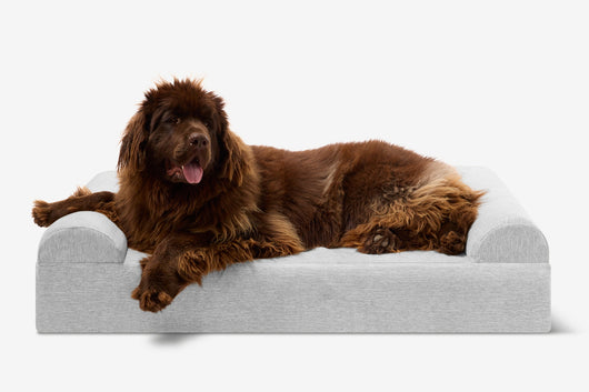 PawVault | Orthopedic Dog Bed with 7-Inch Foam for Large Dogs — Supports Joint Health 43