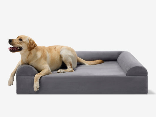 PawVault | Orthopedic Dog Bed with 7-Inch Foam for Large Dogs — Supports Joint Health 44