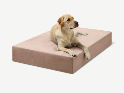 PawVault | Orthopedic Dog Bed with 7-Inch Foam for Large Dogs — Supports Joint Health 45