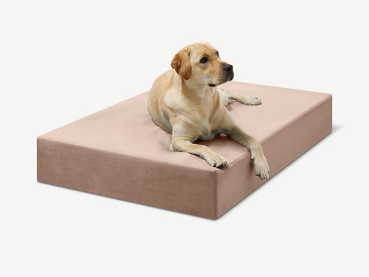 PawVault | Orthopedic Dog Bed with 7-Inch Foam for Large Dogs — Supports Joint Health 45