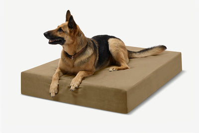PawVault | Orthopedic Dog Bed with 7-Inch Foam for Large Dogs — Supports Joint Health 46