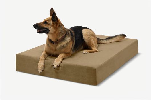 PawVault | Orthopedic Dog Bed with 7-Inch Foam for Large Dogs — Supports Joint Health 46