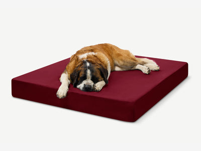 PawVault | Orthopedic Dog Bed with 7-Inch Foam for Large Dogs — Supports Joint Health 48