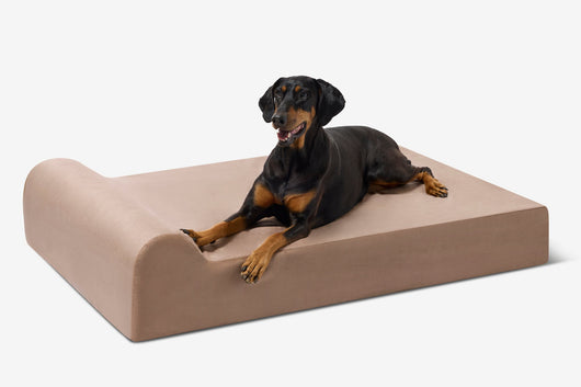 PawVault | Orthopedic Dog Bed with 7-Inch Foam for Large Dogs — Supports Joint Health 49