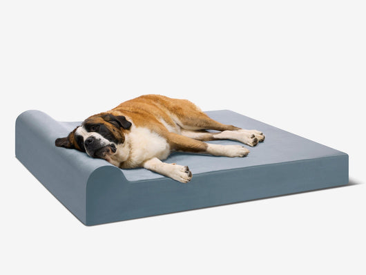 PawVault | Orthopedic Dog Bed with 7-Inch Foam for Large Dogs — Supports Joint Health 4