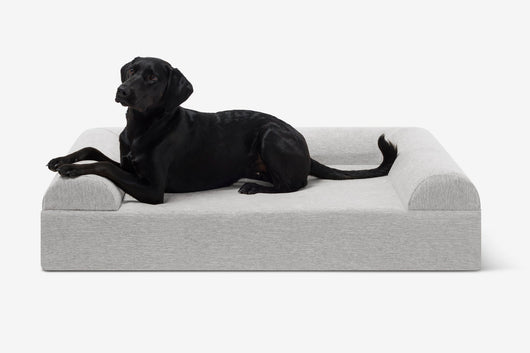 PawVault | Orthopedic Dog Bed with 7-Inch Foam for Large Dogs — Supports Joint Health 50