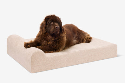 PawVault | Orthopedic Dog Bed with 7-Inch Foam for Large Dogs — Supports Joint Health 51