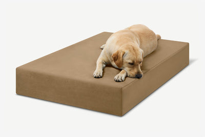 PawVault | Orthopedic Dog Bed with 7-Inch Foam for Large Dogs — Supports Joint Health 52