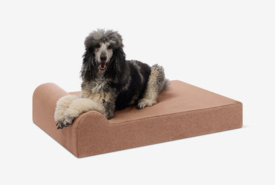 PawVault | Orthopedic Dog Bed with 7-Inch Foam for Large Dogs — Supports Joint Health 53