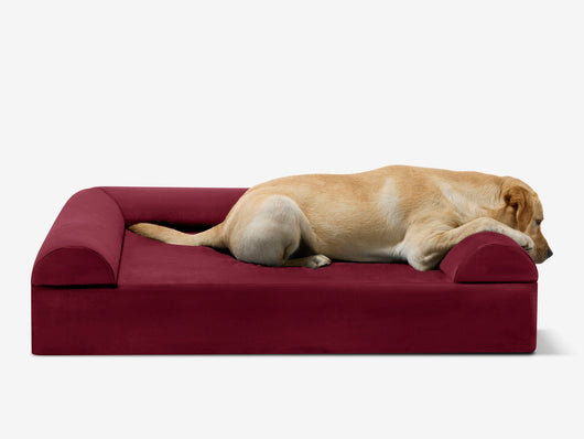 PawVault | Orthopedic Dog Bed with 7-Inch Foam for Large Dogs — Supports Joint Health 55