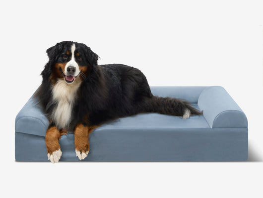 PawVault | Orthopedic Dog Bed with 7-Inch Foam for Large Dogs — Supports Joint Health 56