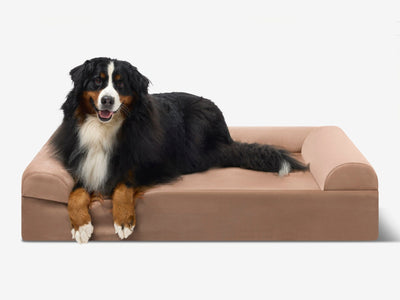 PawVault | Orthopedic Dog Bed with 7-Inch Foam for Large Dogs — Supports Joint Health 58