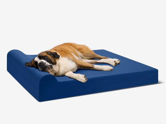 PawVault | Orthopedic Dog Bed with 7-Inch Foam for Large Dogs — Supports Joint Health 5