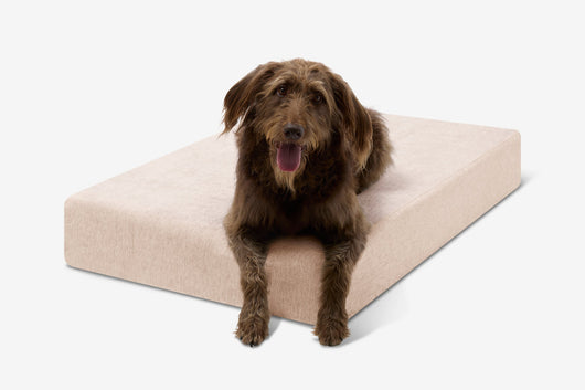 PawVault | Orthopedic Dog Bed with 7-Inch Foam for Large Dogs — Supports Joint Health 61