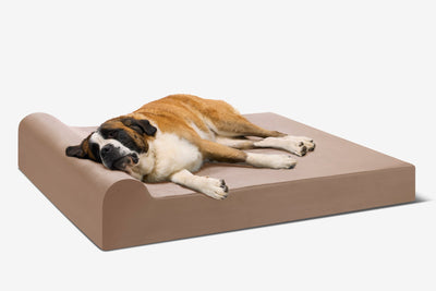 PawVault | Orthopedic Dog Bed with 7-Inch Foam for Large Dogs — Supports Joint Health 62