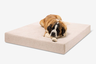 PawVault | Orthopedic Dog Bed with 7-Inch Foam for Large Dogs — Supports Joint Health 63
