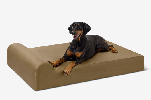 PawVault | Orthopedic Dog Bed with 7-Inch Foam for Large Dogs — Supports Joint Health 64
