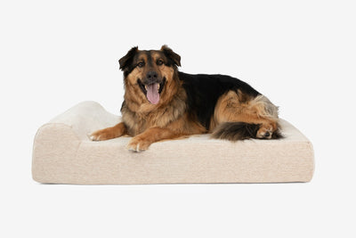 PawVault | Orthopedic Dog Bed with 7-Inch Foam for Large Dogs — Supports Joint Health 65