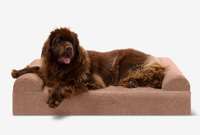 PawVault | Orthopedic Dog Bed with 7-Inch Foam for Large Dogs — Supports Joint Health 66