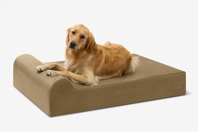 PawVault | Orthopedic Dog Bed with 7-Inch Foam for Large Dogs — Supports Joint Health 67