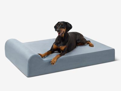 PawVault | Orthopedic Dog Bed with 7-Inch Foam for Large Dogs — Supports Joint Health 69