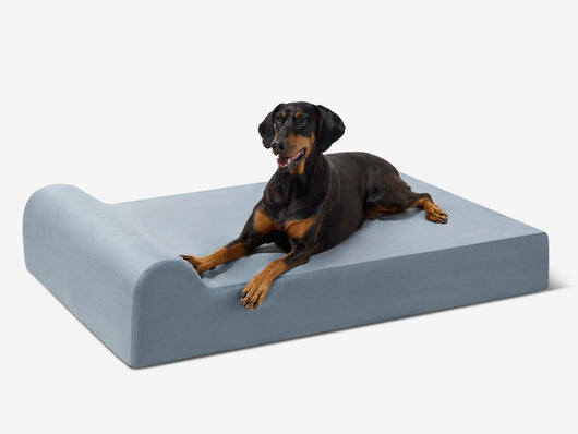 PawVault | Orthopedic Dog Bed with 7-Inch Foam for Large Dogs — Supports Joint Health 69