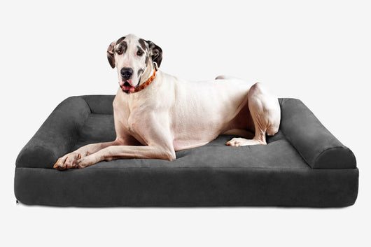 PawVault | Orthopedic Dog Bed with 7-Inch Foam for Large Dogs — Supports Joint Health 71