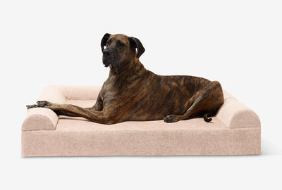 PawVault | Orthopedic Dog Bed with 7-Inch Foam for Large Dogs — Supports Joint Health 73