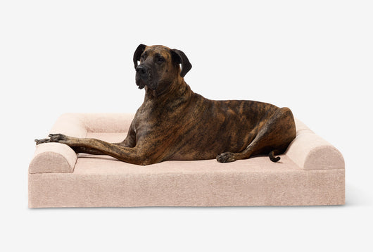 PawVault | Orthopedic Dog Bed with 7-Inch Foam for Large Dogs — Supports Joint Health 73