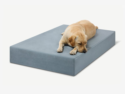 PawVault | Orthopedic Dog Bed with 7-Inch Foam for Large Dogs — Supports Joint Health 75
