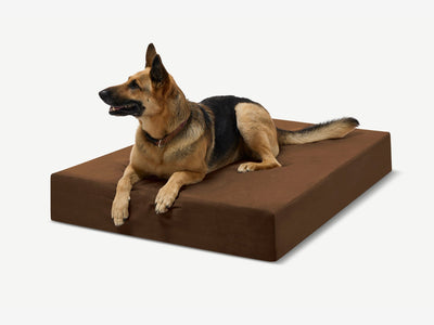 PawVault | Orthopedic Dog Bed with 7-Inch Foam for Large Dogs — Supports Joint Health 76