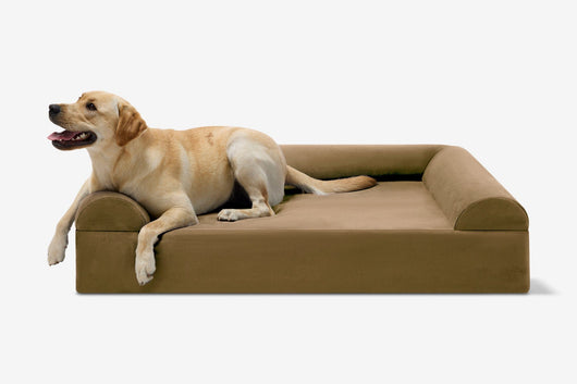 PawVault | Orthopedic Dog Bed with 7-Inch Foam for Large Dogs — Supports Joint Health 77