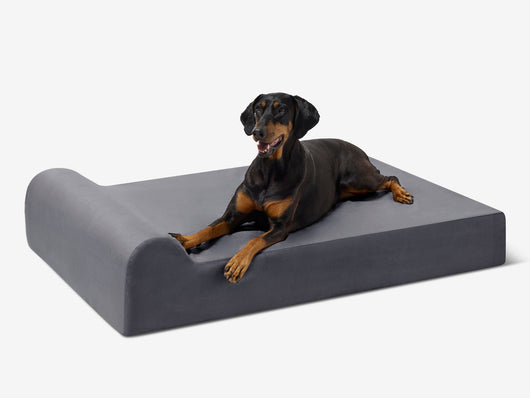 PawVault | Orthopedic Dog Bed with 7-Inch Foam for Large Dogs — Supports Joint Health 78