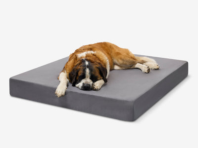PawVault | Orthopedic Dog Bed with 7-Inch Foam for Large Dogs — Supports Joint Health 79
