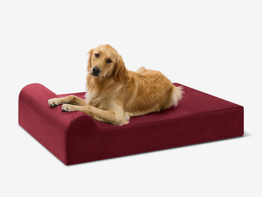 PawVault | Orthopedic Dog Bed with 7-Inch Foam for Large Dogs — Supports Joint Health 7