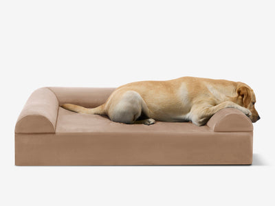 PawVault | Orthopedic Dog Bed with 7-Inch Foam for Large Dogs — Supports Joint Health 80
