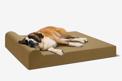 PawVault | Orthopedic Dog Bed with 7-Inch Foam for Large Dogs — Supports Joint Health 81