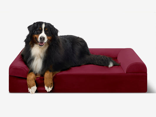 PawVault | Orthopedic Dog Bed with 7-Inch Foam for Large Dogs — Supports Joint Health 82