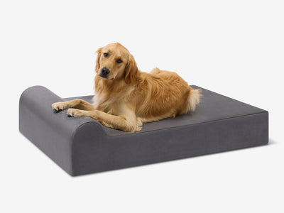 PawVault | Orthopedic Dog Bed with 7-Inch Foam for Large Dogs — Supports Joint Health 8
