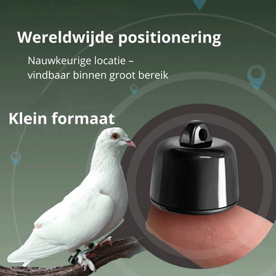 PetTracker Pro | Mini Bluetooth Tracker with Real-Time Location for Small Dogs and Cats 4