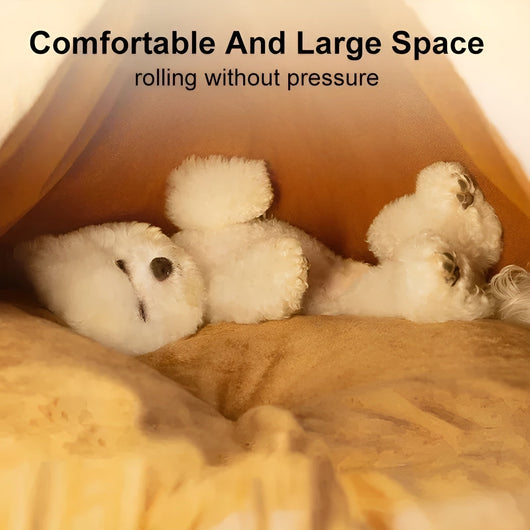 PurrLux | Cozy Tent Cat Bed with Soft Fabric for Indoor Cats - Stylish and Durable Retreat 4