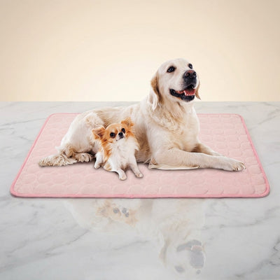 Self-Cooling Dog Cooling Mat with Pressure-Activated Technology for Dogs and Cats-Pet Cooling Mats-Levereau-XS 40x30cm-Pink-Levereau