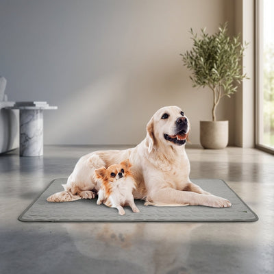 Self-Cooling Dog Cooling Mat with Pressure-Activated Technology for Dogs and Cats-Pet Cooling Mats-Levereau-XS 40x30cm-Gray-Levereau