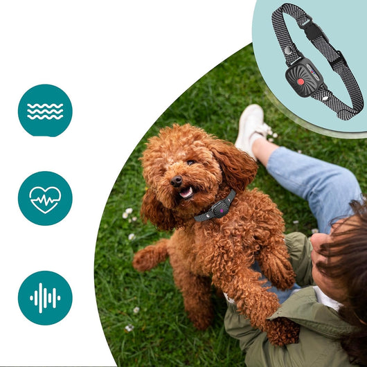Adjustable Anti Bark Collar for Dogs - Humane Bark Control for All Sizes-Bark Control Collars-Levereau-Default-Levereau
