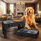 Slow Feeder Dog Bowl with Height Adjustment and Non-Slip Base for All Dog Sizes