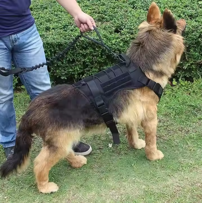 Tactical Dog Harness with Integrated Pockets and Elastic Leash for Active Dogs - Adjustable Fit-Dog Harnesses-Levereau-Black-M-Levereau